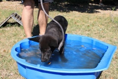 Caribi_2012_040