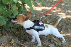 Caribi_2012_049