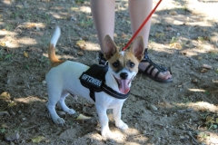 Caribi_2012_050