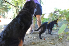 Caribi_2012_051