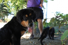 Caribi_2012_052