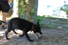 Caribi_2012_055