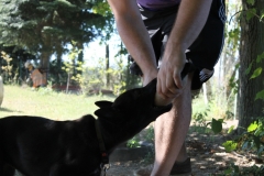 Caribi_2012_059