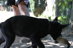 Caribi_2012_060