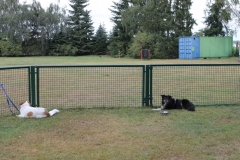 Caribi_2012_078