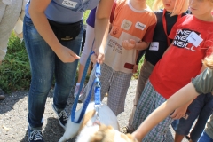 Caribi_2012_153