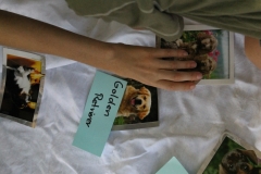 Caribi_2012_163
