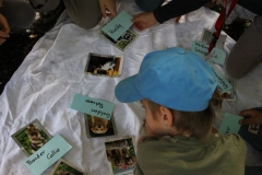 Caribi_2012_164