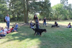 Caribi_2012_241