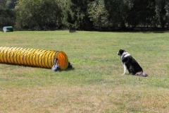 Caribi_2012_243