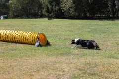 Caribi_2012_244