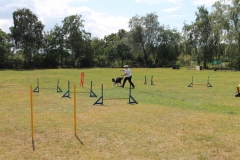 Caribi_2012_246