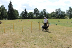 Caribi_2012_249