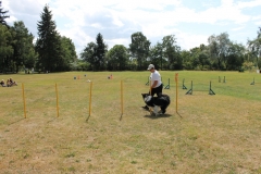 Caribi_2012_250