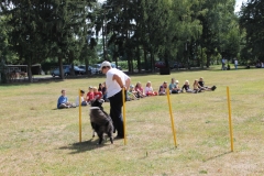 Caribi_2012_252