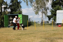 Caribi_2012_254