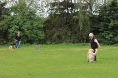 Grundgehorsam_2012_002
