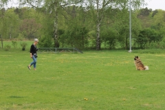 Grundgehorsam_2012_013
