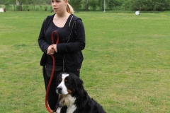 Grundgehorsam_2012_037