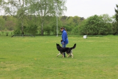 Grundgehorsam_2012_044