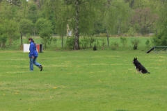Grundgehorsam_2012_047