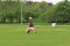 Grundgehorsam_2012_050
