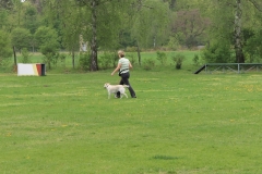 Grundgehorsam_2012_057