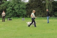 Grundgehorsam_2012_059