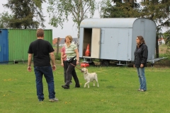 Grundgehorsam_2012_060