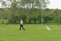 Grundgehorsam_2012_061