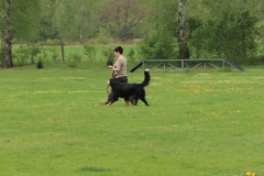 Grundgehorsam_2012_062