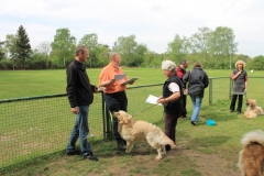 Grundgehorsam_2012_075