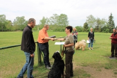 Grundgehorsam_2012_080