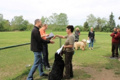 Grundgehorsam_2012_081