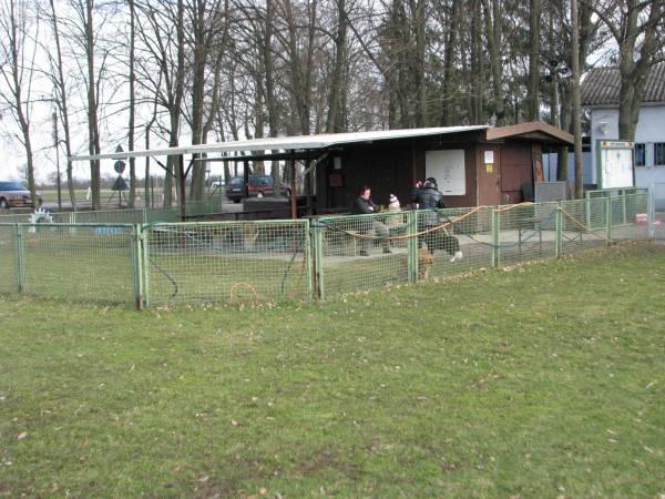 Hundeplatz1