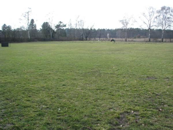 Hundeplatz2
