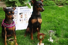 Hunderennen_01.09.2013_Karti_4