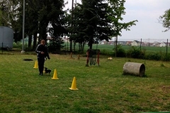 Kleinhundegruppe_2014_02