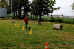 Kleinhundegruppe_2014_04