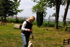 Kleinhundegruppe_2014_08