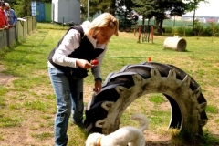 Kleinhundegruppe_2014_09