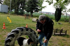 Kleinhundegruppe_2014_10
