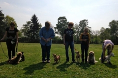 Kleinhundegruppe_2014_11