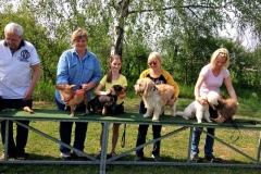 Kleinhundegruppe_2014_12