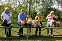 Kleinhundegruppe_2014_13