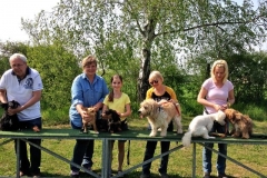 Kleinhundegruppe_2014_14