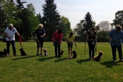 Kleinhundegruppe_2014_15