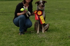 2015-05-09I-Phone 528