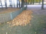 Laubtag November 2011