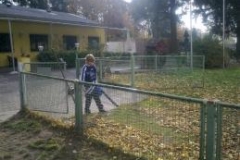 Laubtag_06